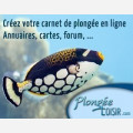 Plongée-loisirs.com